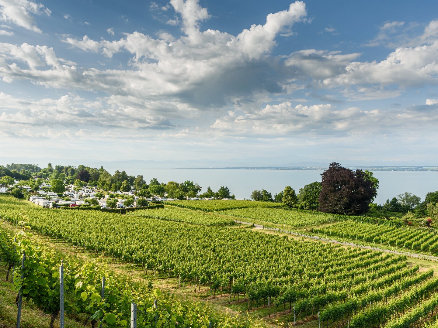 Blauer Montag im Boutique-Hotel ZUM SCHLOSS