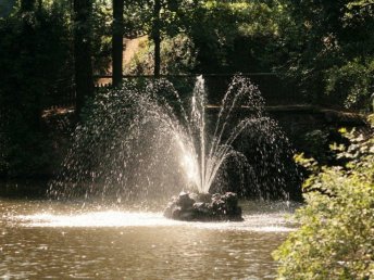 Romantisches Paradies für Zwei in der Eifel in Bad Bertrich