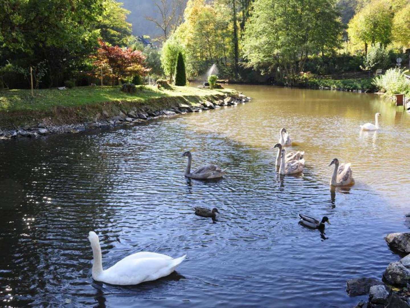 Romantisches Paradies für Zwei in der Eifel in Bad Bertrich