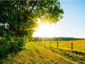 Romantisches Paradies für Zwei in der Eifel in Bad Bertrich