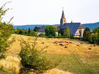 5 Tage Auszeit vom Alltag im schönen Sauerland