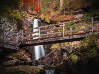 5 Tage im Bayerischen Wald: 360° Aktivurlaub mit Genusspension & Wellness