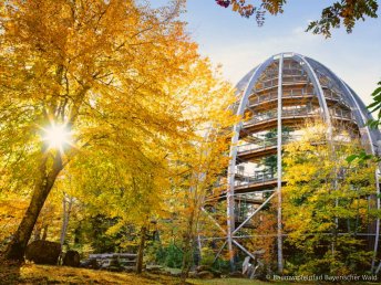 3 Tage im Bayerischen Wald: 360° Aktivurlaub mit Genusspension & Wellness