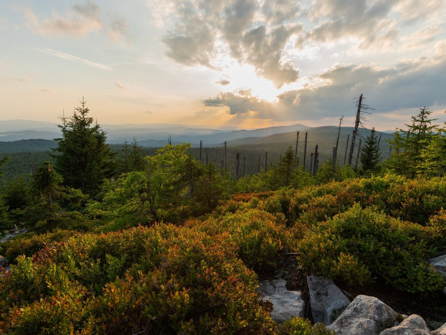 4 Tage im Bayerischen Wald: 360° Aktivurlaub mit Genusspension & Wellness