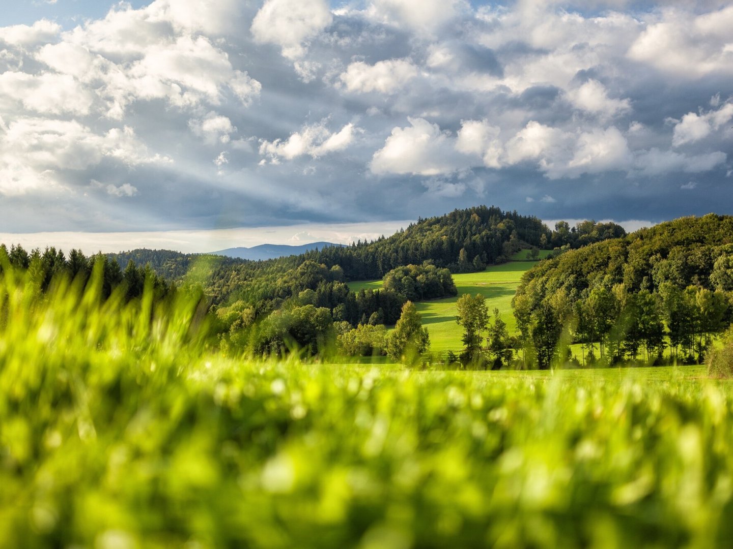 3 Tage im Bayerischen Wald: 360° Aktivurlaub mit Genusspension & Wellness