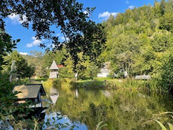 Stopover im Schwarzwald nahe Titisee & Schluchsee 