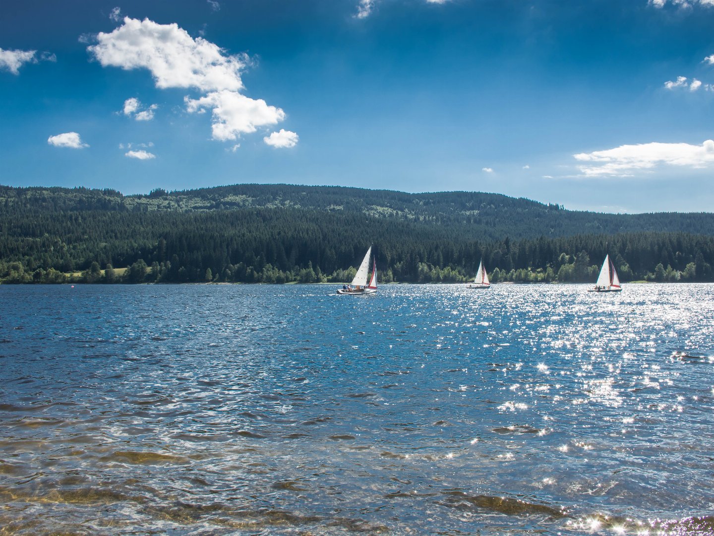 Stopover im Schwarzwald nahe Titisee & Schluchsee 