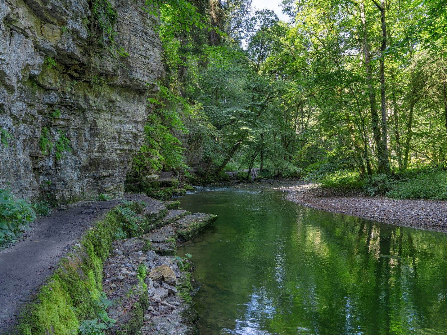 3 Tage Bad Säckingen mit Hund – Erholung für Zwei- & Vierbeiner mit Halbpension und Gassi-Service